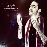 Janab E Zahra S.a Ali Abbas Song Download Mp3