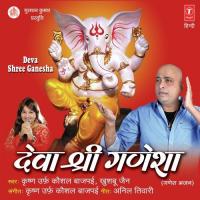 Suno Ganesha - 108 Naam Krishn Alias Kaushal Bajpai Song Download Mp3