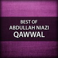 Best of Abdullah Niazi Qawwal songs mp3