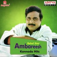 Rebel Star Ambarish Kannada Hits songs mp3