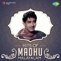 Raasaleelaykku (From "Aabhijathyam") B. Vasantha,K.J. Yesudas Song Download Mp3