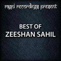 Best of Zeeshan Sahil songs mp3