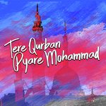 Tere Qurban Pyare Muhammad Nusrat Fateh Ali Khan Song Download Mp3
