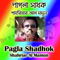 Pagla Shadhok Shahriar Al Mamun Song Download Mp3