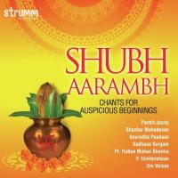 Om Namah Shivay - For Divine Blessings Shankar Mahadevan Song Download Mp3