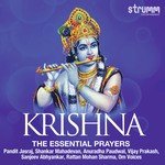 Krishna - The Essential Prayers songs mp3