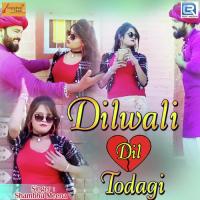 Dilwali Dil Todagi Shambhu Meena Song Download Mp3