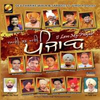 Rees Koi Ni Pal Punjabi Song Download Mp3