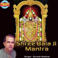 Shree Bala Ji Mantra Suresh Wadkar Song Download Mp3