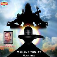 Mahamritunjay Mantra Suresh Wadkar Song Download Mp3