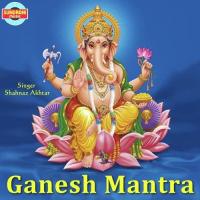 Ganesh Mantra Shahnaz Akhtar Song Download Mp3