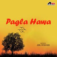 Pagla Hawa songs mp3