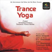 Trance Yoga Dj Sheizwood,Tarannum Malik Song Download Mp3