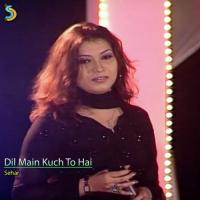 Dil Main Kuch to Hai songs mp3