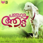 Changaathi Nannaayaal Keerthana Sabarish,Zia Ul Haq Song Download Mp3