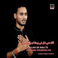 Tano Dukra Mein Sunawah Wal Watan Te Aawah Samar Abbas Haideri Song Download Mp3