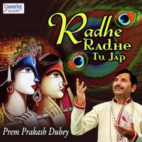 Radhe Radhe Tu Jap songs mp3