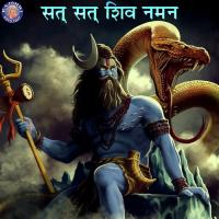 Rudra Chamakam Vighnesh Ghanapaathi,Gurumurthi Bhat,Shridhara Bhat Song Download Mp3