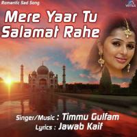 Tumhe Dekhta Rahoon Main Timmu Gulfaam Song Download Mp3