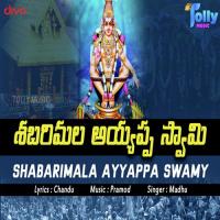 Swamiye Saranam Ayyappa songs mp3