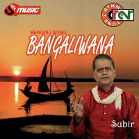 Prithibi Amare Chay Subir Mukherjee Song Download Mp3