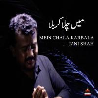Zulfan Kyun Khuliyan Jani Shah Song Download Mp3