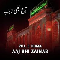 Aaj Bhi Zainab, Vol. 1 songs mp3