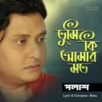 Tumi Ki Amar Moto Palash Sen Song Download Mp3