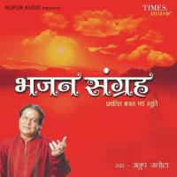 Om Namo Bhagwate Vasudevaye - Vishnu Mantra Anup Jalota Song Download Mp3