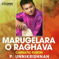 Marugelara O Raghava P. Unnikrishnan Song Download Mp3