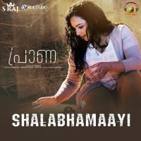 Shalabhamaayi (From "Praana") Shilpa Raj Song Download Mp3