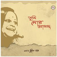 Amar Hiyar Majhe Shabnam Surita Dana Song Download Mp3
