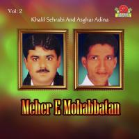 Mann Tai Mehar Mohabbatan Asghar Adina Song Download Mp3