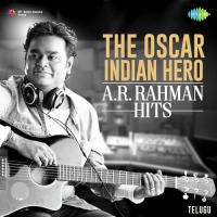 The Oscar Indian Hero - A.R. Rahman Hits songs mp3