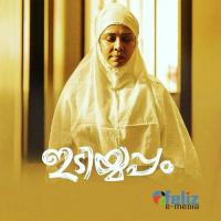 Ponnupole I P Sidheeq Song Download Mp3