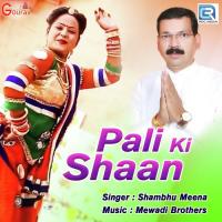 Pali Ki Shaan Shambhu Meena Song Download Mp3