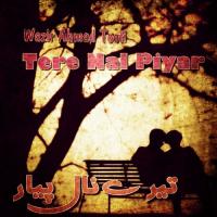 Main Dhola Jag Tay Wazir Ahmad Tooti Song Download Mp3