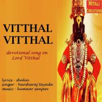 Vitthal Vitthal Harsharaj Tayade Song Download Mp3