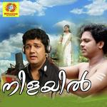 Nilayilaliyum Neela Nilavinu Biju Narayanan Song Download Mp3