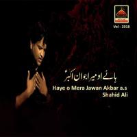 Haye O Mera Jawan Akbar A.s Shahid Ali Song Download Mp3