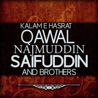 Tou Zia E Qasamey Qawal Najmuddin Saifuddin Brothers Song Download Mp3