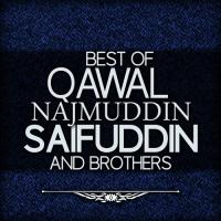 Tu Ne Dewana Qawal Najmuddin Saifuddin,Brothers Song Download Mp3