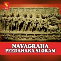 Navagraha Peedahara Shlokam Radhika Gopalakrishnan Song Download Mp3