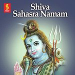 Siva Sahasranamam Radhika Gopalakrishnan Song Download Mp3