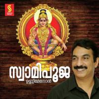 Pampayude Thirukarayil Unni Menon Song Download Mp3
