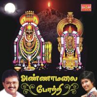 Annamalai Ennum Anuradha Sriram Song Download Mp3