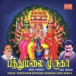 Pathumalai Vanthom Ananthu Song Download Mp3