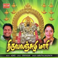Swamiyeh Thiru Ragupathy Song Download Mp3