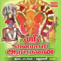Sri Vanamari Aarathanai songs mp3