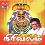 Thayum Neeyaga S.P. Balasubrahmanyam Song Download Mp3